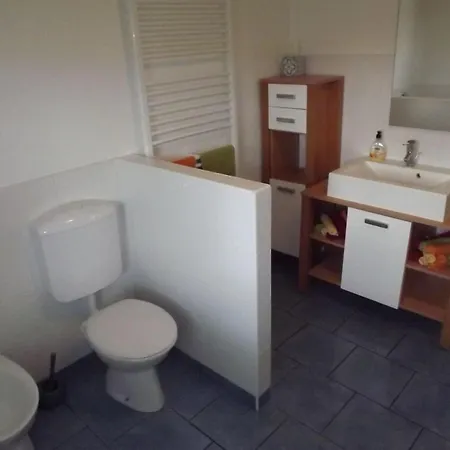 Апартаменты Velika Hisa Rasica